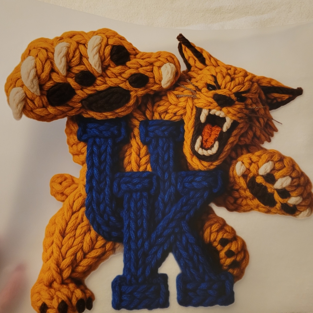 Wildcat Yarn Ar with Blue and Orange Sweatshirt Or Hoodie